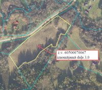 Zemes vienības ar kadastra apzīmējumu 6050-007-0067 izvietojuma shēma