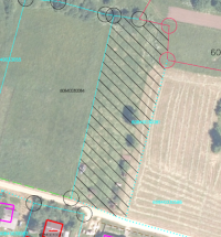 Zemes vienības ar kadastra apzīmējumu 6084-003-0081 izvietojuma shēma