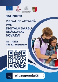 Divi jaunieši lieto klēpjdatoru. Aptaujas vizuālis