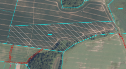 Zemes vienības ar kadastra apzīmējumu 6084-004-0104 izvietojuma shēma