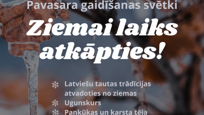 Pasākuma afiša