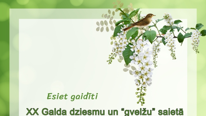 Pasākuma afiša