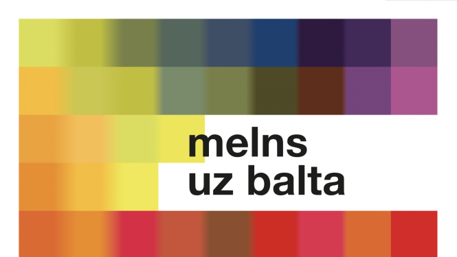Projekta vizuālis