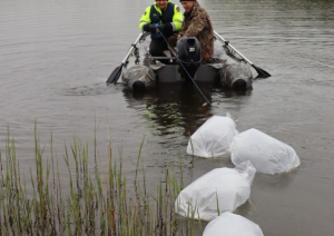 Divi cilvēki laivā velk aiz sevis ūdenī peldošus plastmasas maisus ar zivju mazuļiem