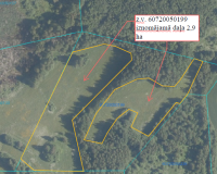 Zemes vienības ar kadastra apzīmējumu 60720050199 izvietojuma shēma