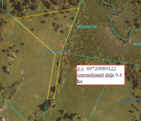 Zemes vienības ar kadastra apzīmējumu 60720080122 izvietojuma shēma
