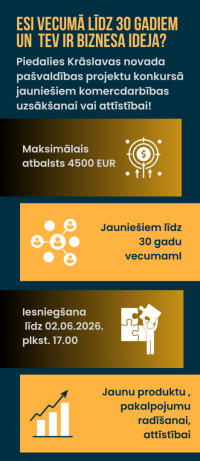 Jauniešu biznesa ideju projektu konkursa infografika