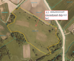 Zemes vienības ar kadastra apzīmējumu 60620010165 izvietojuma shēma