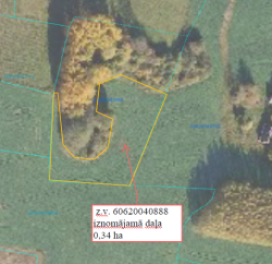 Zemes vienības ar kadastra apzīmējumu 60620040888 izvietojuma shēma