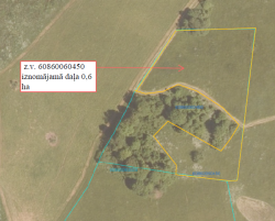 Zemes vienības ar kadastra apzīmējumu 60860060450 izvietojuma shēma