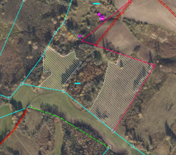 Zemes vienības ar kadastra apzīmējumu 60880030114 izvietojuma shēma