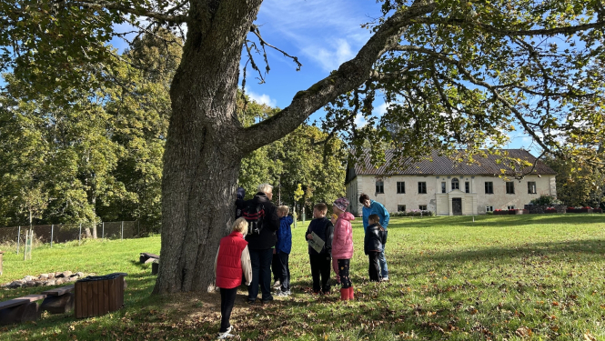 Bērni un pieaugušie stāv zem liela ozola, notiek mācību aktivitāte