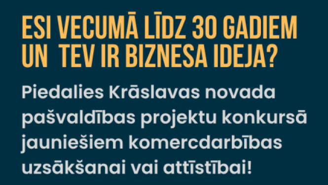 Jauniešu biznesa ideju projektu konkursa infografika