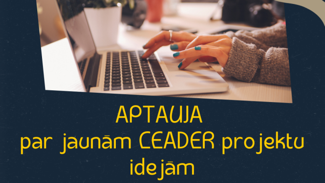 Sieviete strādā ar klēpjdatoru