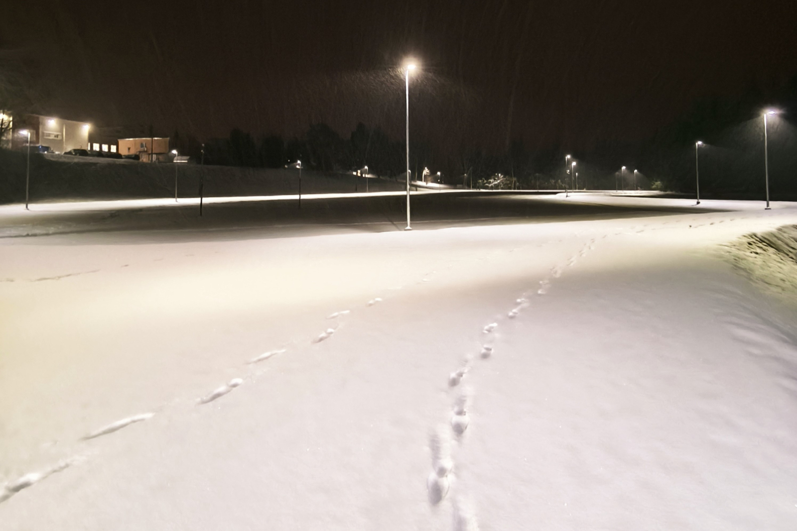 Apgaismots, sniegots stadions rindā izvietotiem laternu stabiem