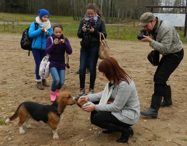 Četri jaunieši fotografē suni, kurš ošņā maizi no sievietes rokām